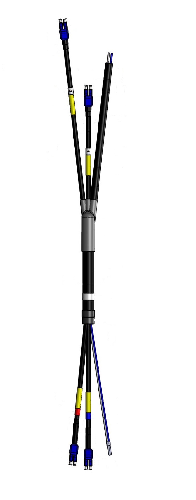 ha-fodc-llbb-21 new version.jpg