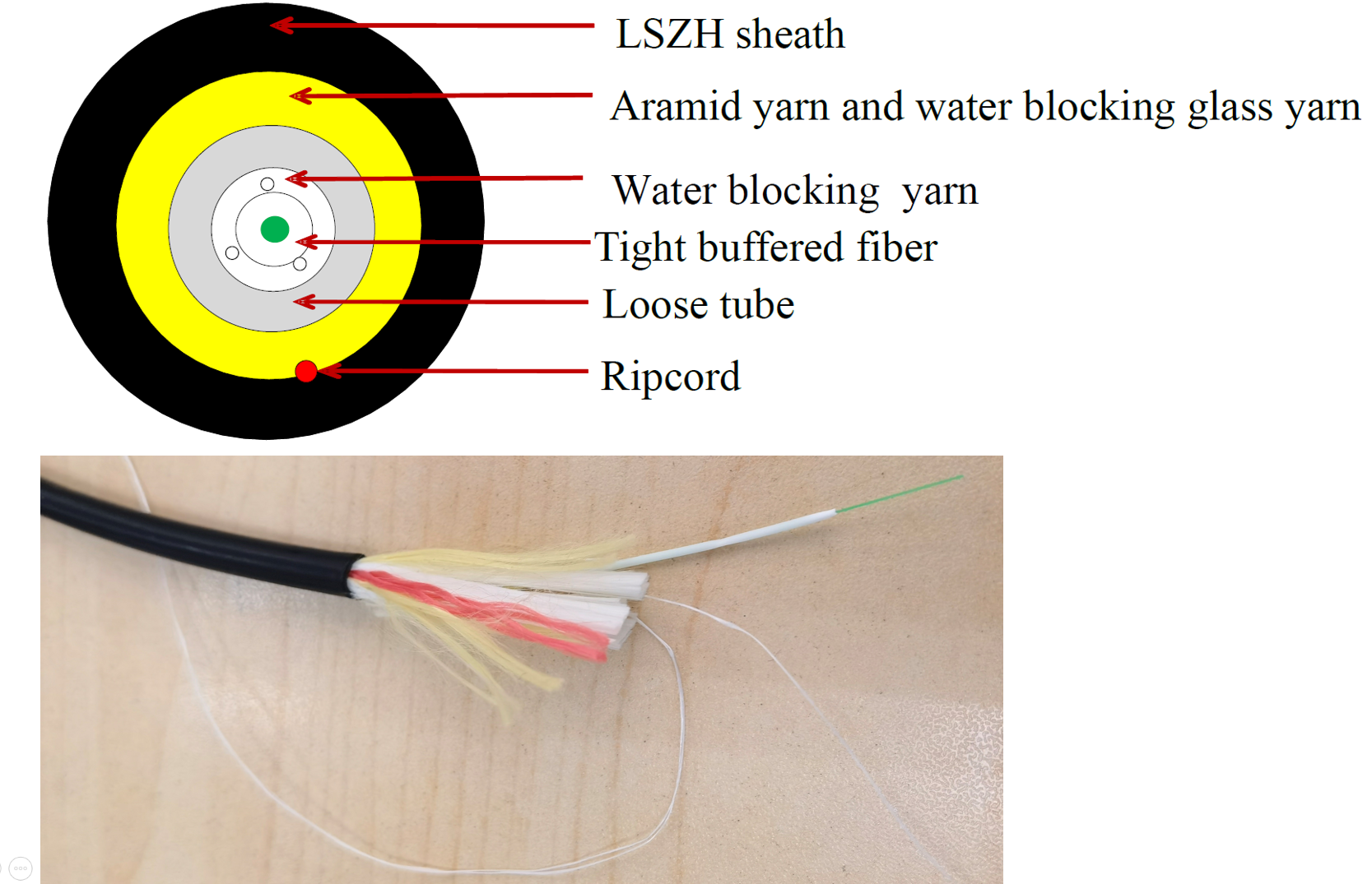 fogt-01x01sa2-f00 - cpr.png